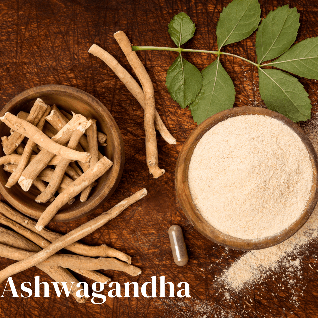 Ashwagandha: An Herb Designed by Nature and Backed by Science - Synthesis Ltd.