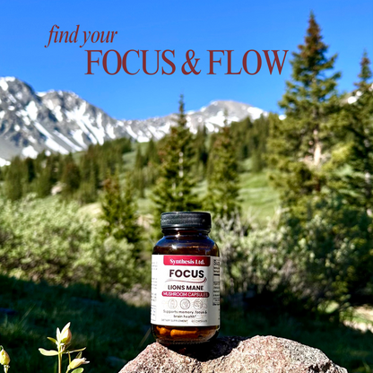 Lion's Mane Mushroom Capsules - 60ct