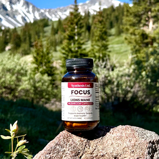 Lion's Mane Mushroom Capsules - 60ct