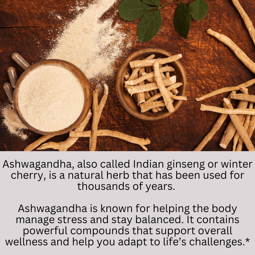 Ashwagandha - Synthesis Ltd.