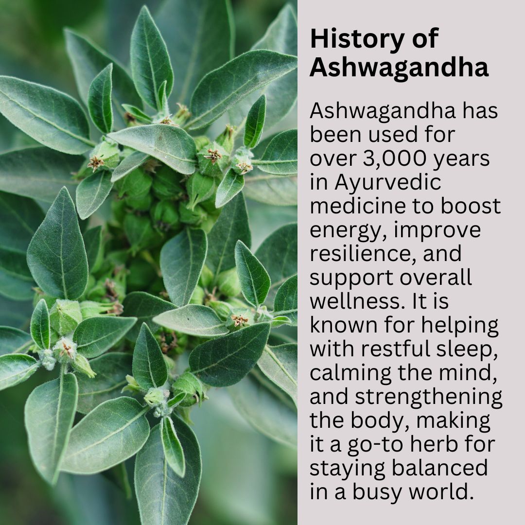 Ashwagandha - Synthesis Ltd.